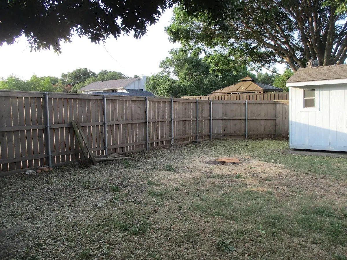 Cleared yard after professional tree removal in Randlett